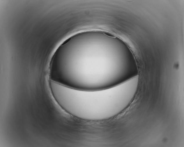 X0000103251524200808281045