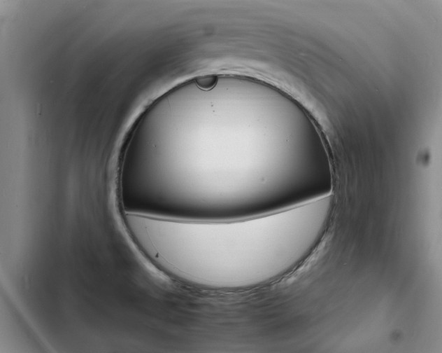 X0000103251525200808281045