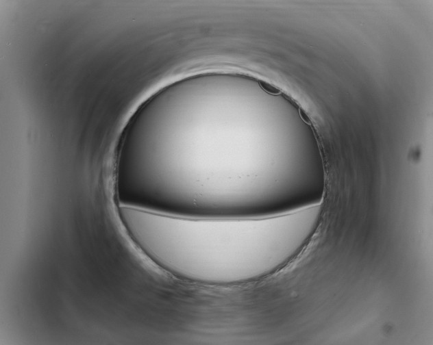 X0000103251526200808281045