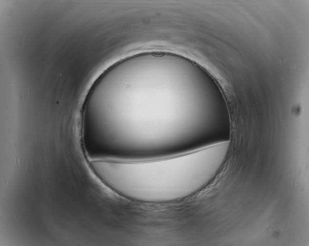 X0000103251527200808281045