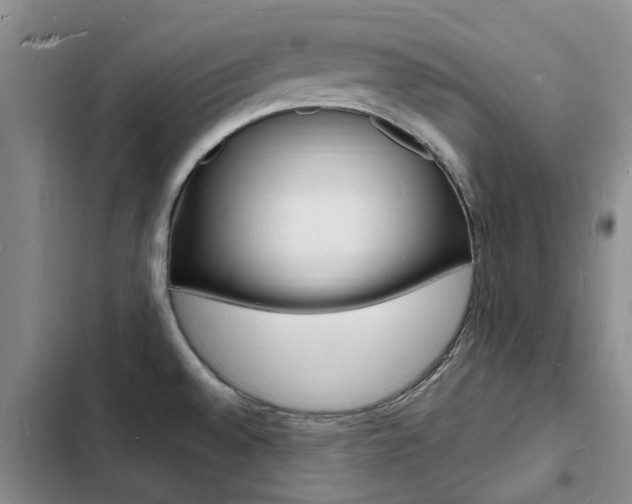 X0000103251528200808281045