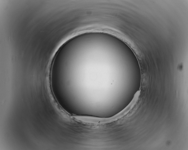 X0000103251530200808281045