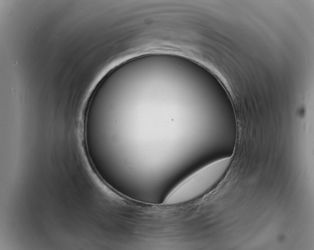 X0000103251531200808281045