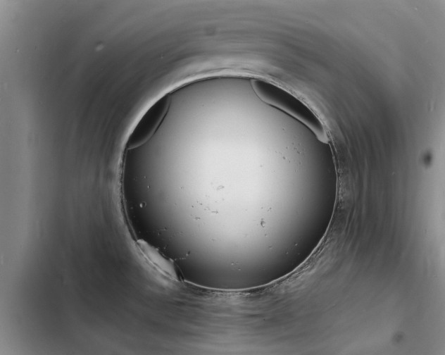 X0000103251532200808281045