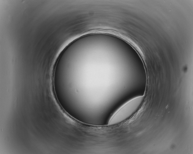 X0000103251533200808281045