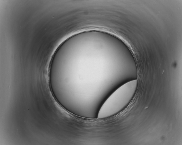 X0000103251535200808281045
