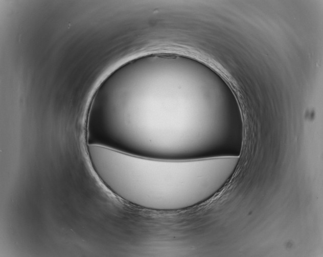 X0000103251536200808281045