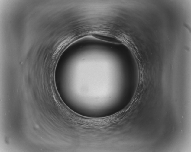 X0000103250001200808281514