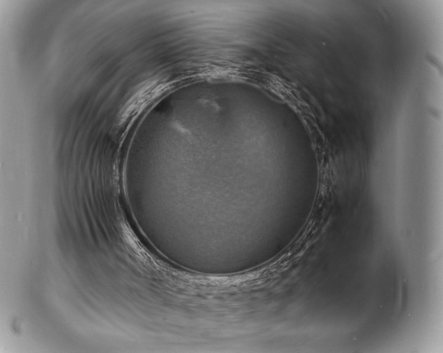 X0000103250002200808281514