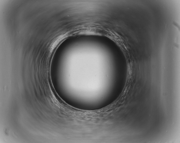 X0000103250003200808281514