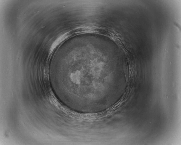 X0000103250004200808281514