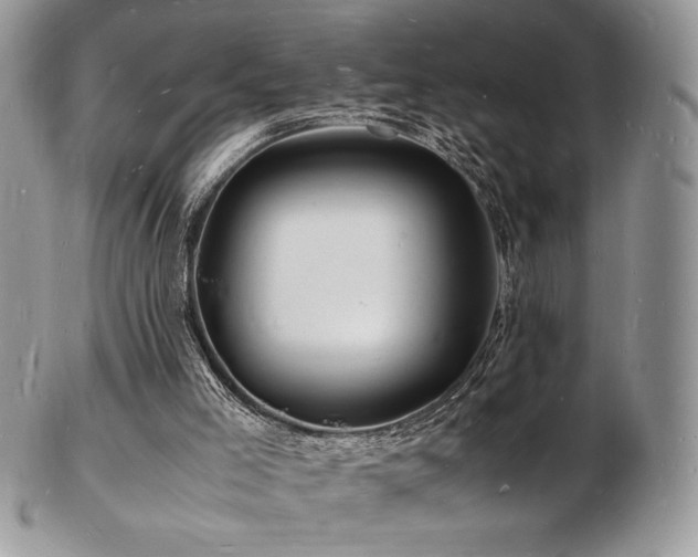 X0000103250005200808281514