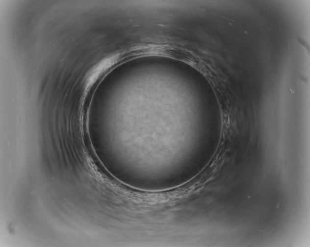 X0000103250006200808281514