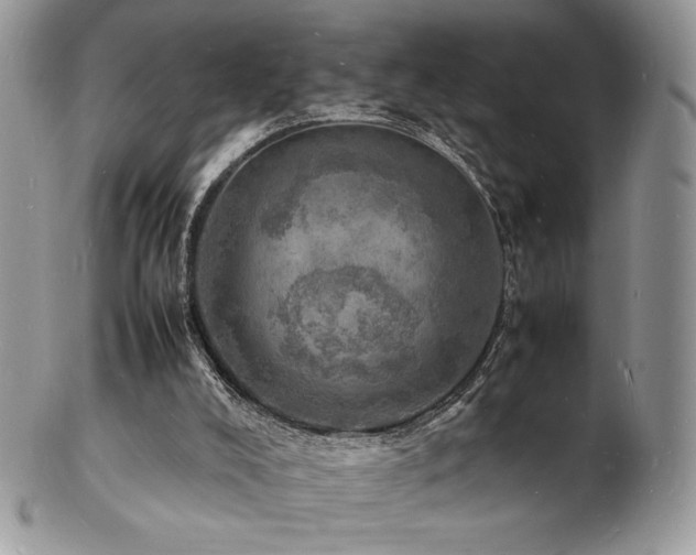 X0000103250008200808281514