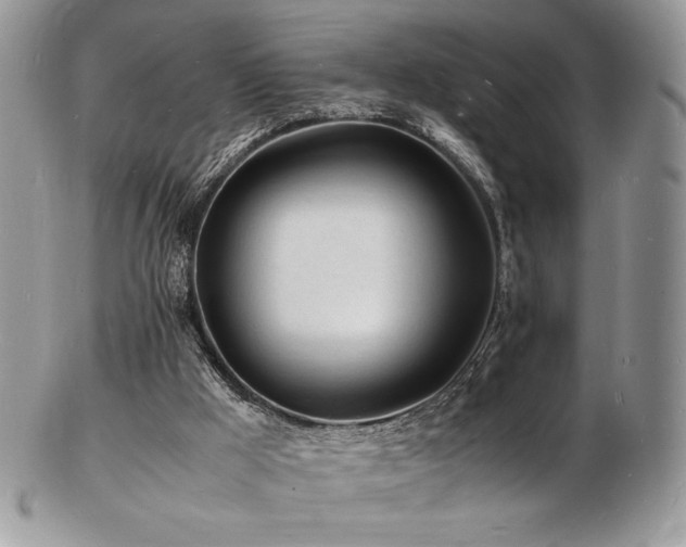X0000103250009200808281514