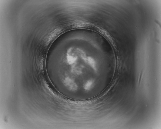 X0000103250010200808281514