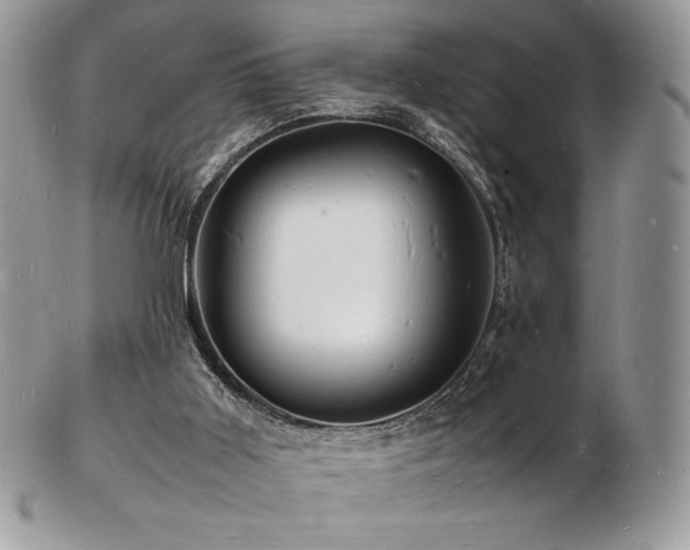 X0000103250011200808281514