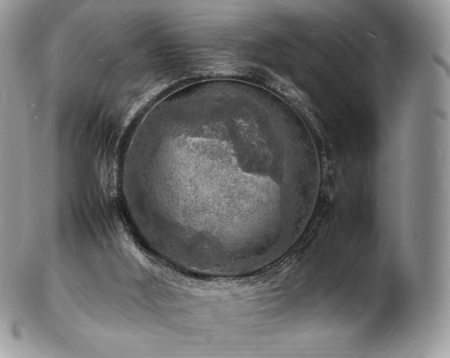 X0000103250012200808281514