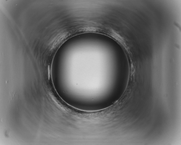 X0000103250013200808281514