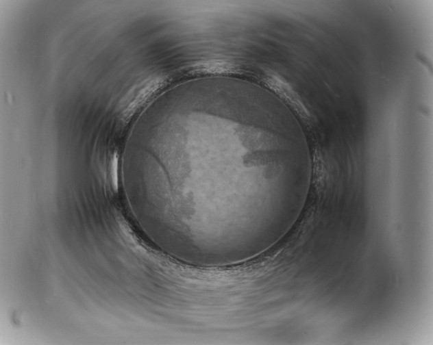 X0000103250014200808281514