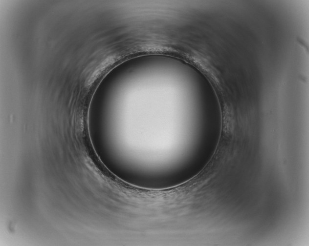 X0000103250015200808281514