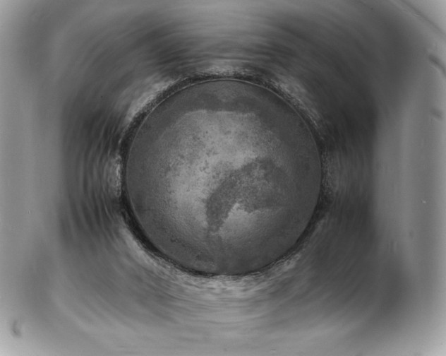 X0000103250016200808281514