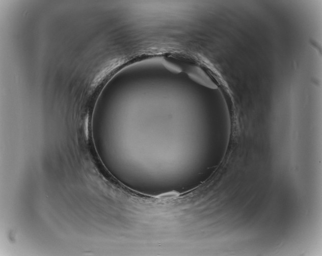 X0000103250019200808281513