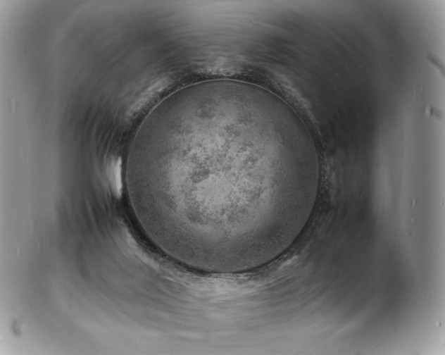 X0000103250020200808281513