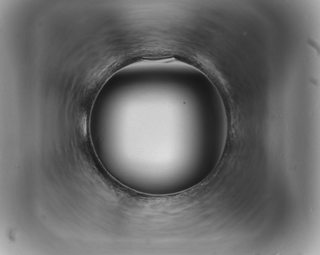 X0000103250021200808281513
