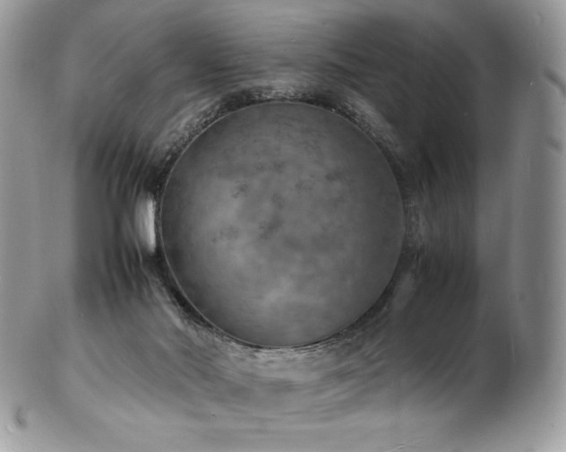 X0000103250022200808281513