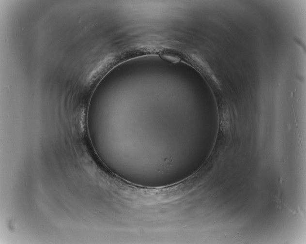 X0000103250023200808281513