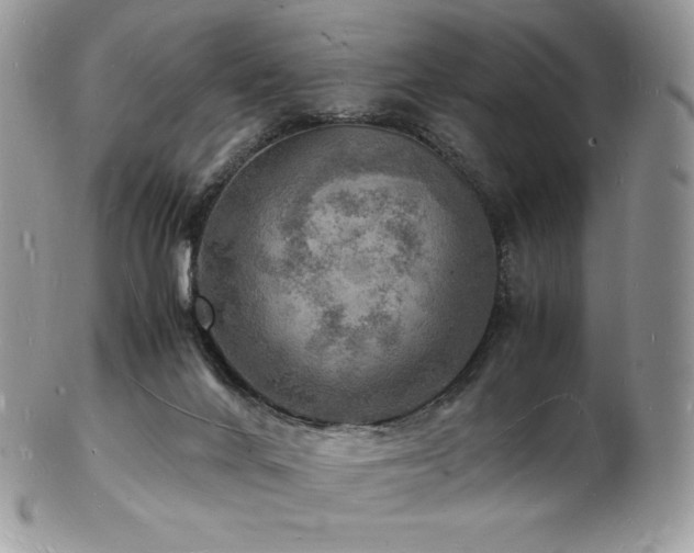 X0000103250024200808281513