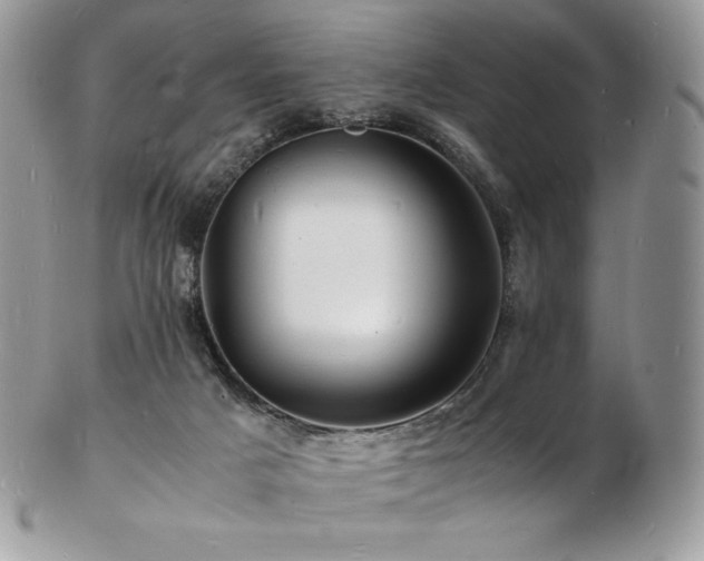 X0000103250025200808281513