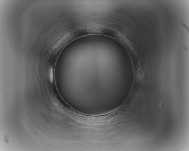 X0000103250027200808281513