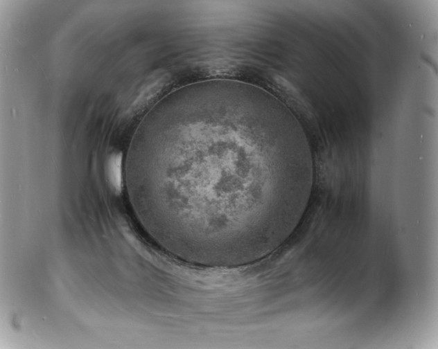 X0000103250028200808281513
