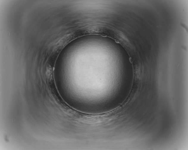 X0000103250029200808281513