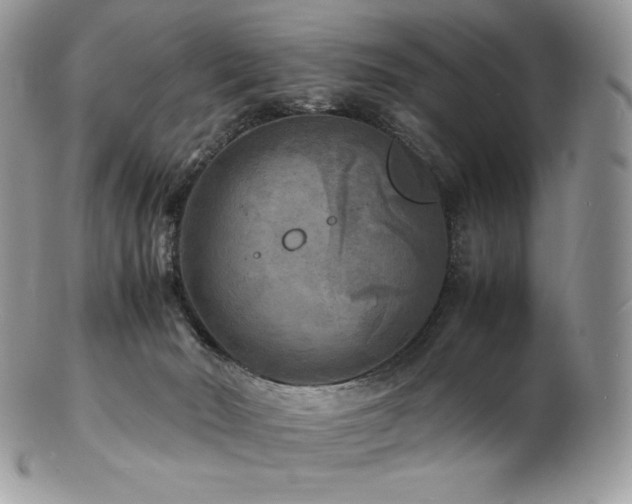 X0000103250030200808281513