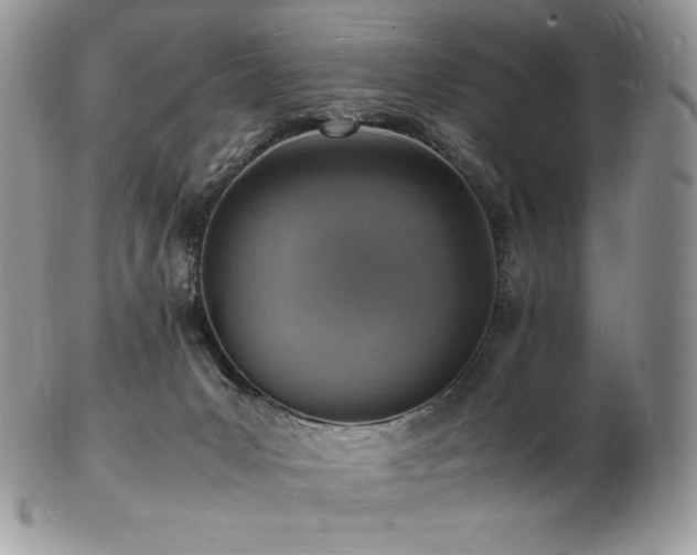 X0000103250031200808281513
