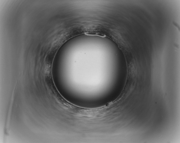 X0000103250033200808281513