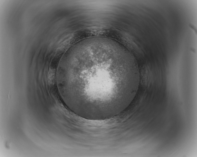 X0000103250034200808281513
