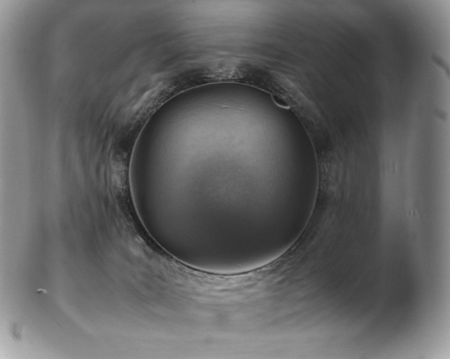 X0000103250035200808281513