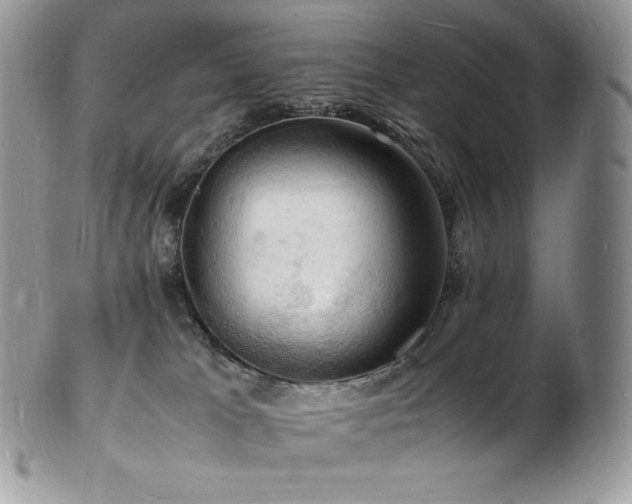X0000103250037200808281513