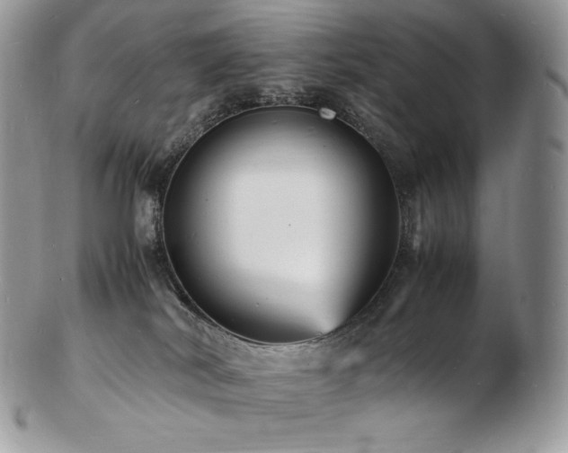 X0000103250038200808281513