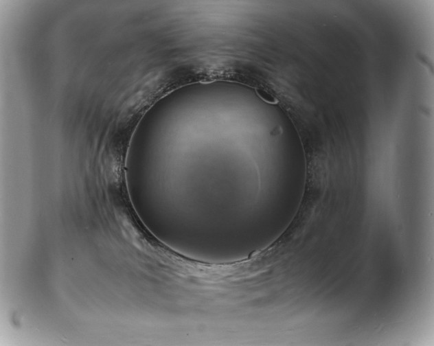 X0000103250039200808281513