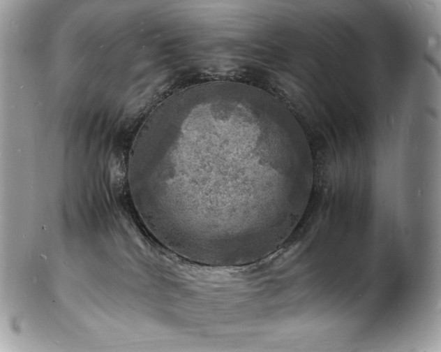 X0000103250040200808281513
