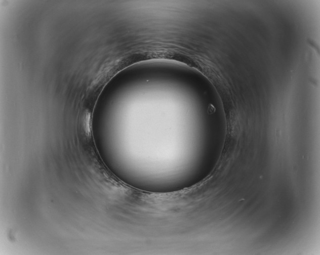 X0000103250041200808281513