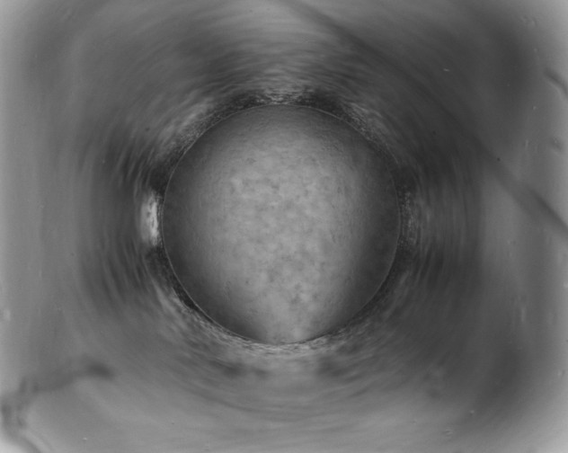 X0000103250042200808281513