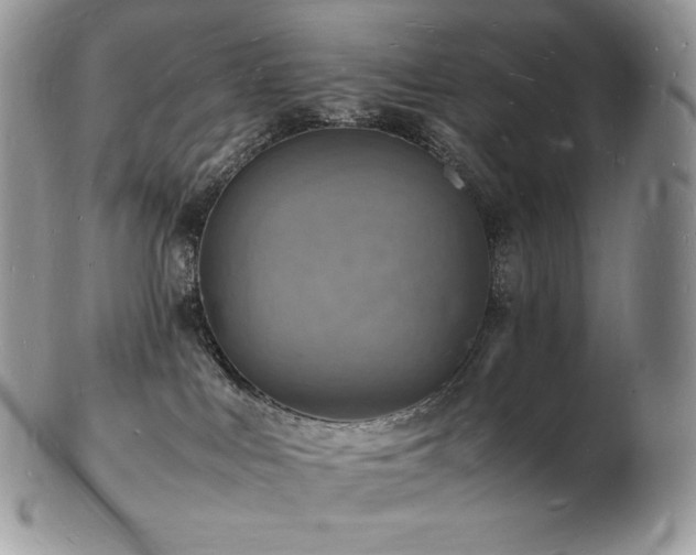X0000103250043200808281513