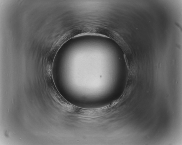 X0000103250045200808281513