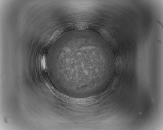 X0000103250046200808281513